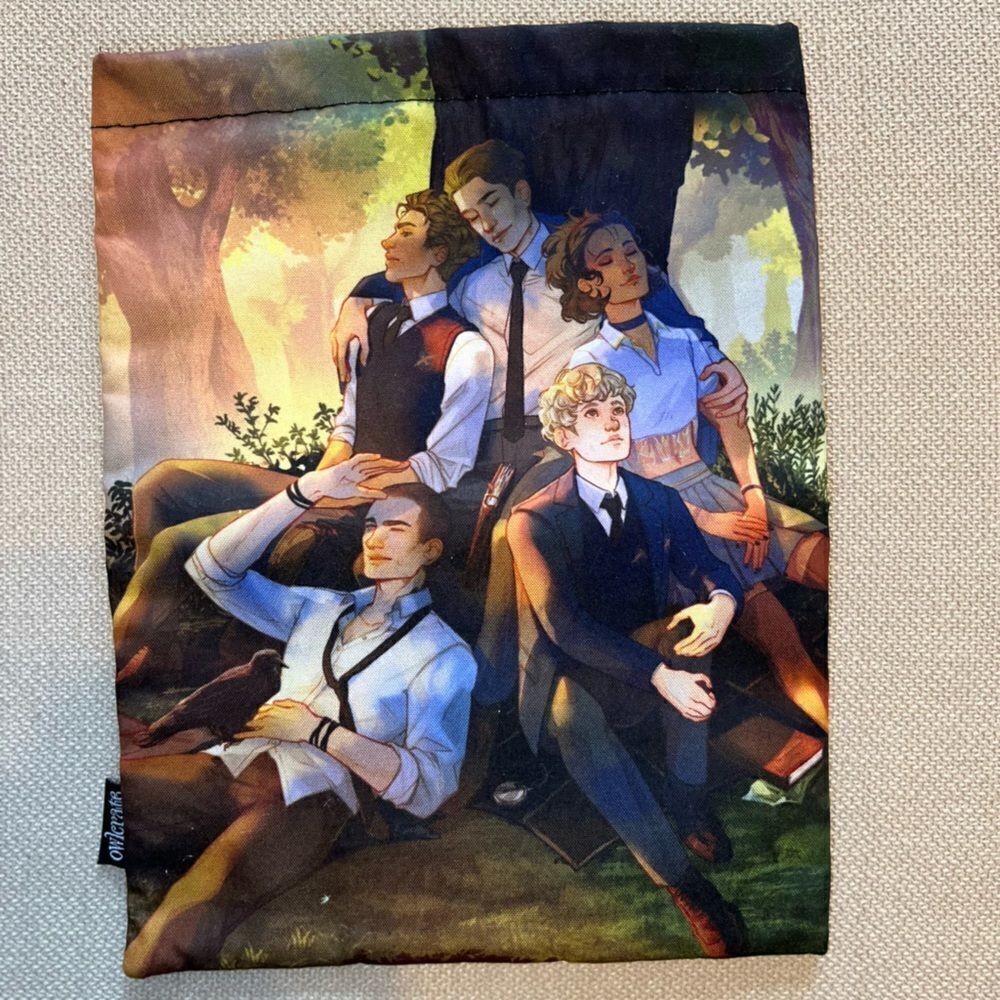 Raven Boys Raven Cycle series Aglionby Academy book sleeve soft sided pouch